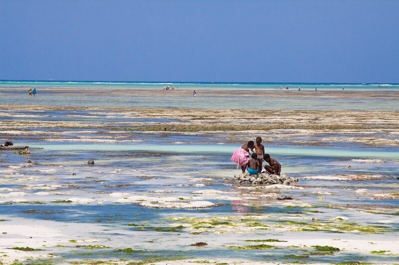 Местные дети ловят крабов во время отлива 