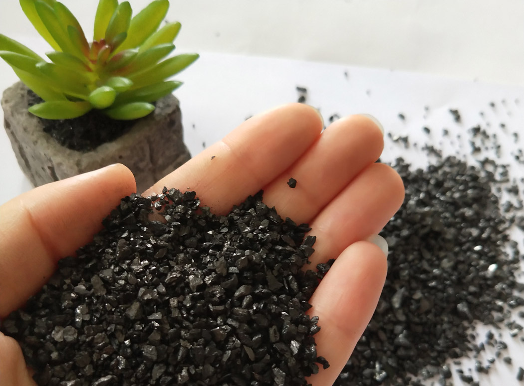 Активированный уголь, как средство для укоренения растений
