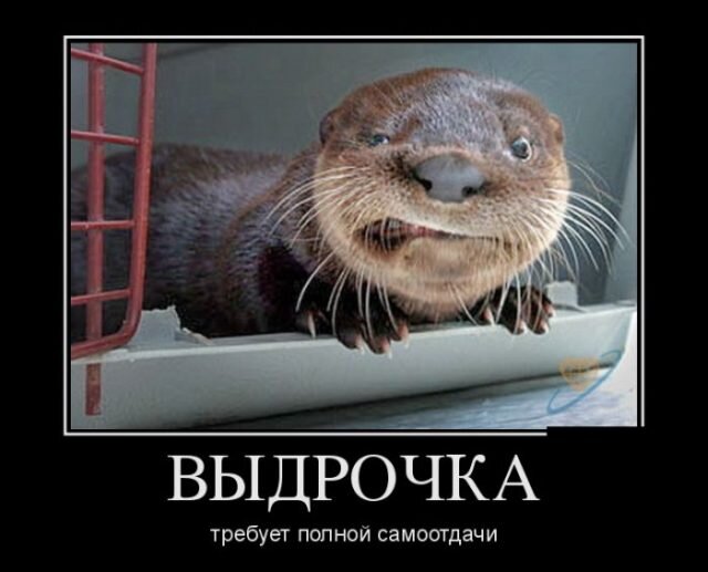 Это про самозанятых))