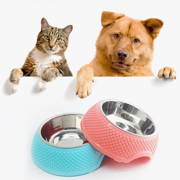 Фото взято из интернета