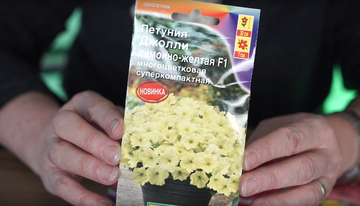 Петуния многоцветковая Джолли лимонно-жёлтая