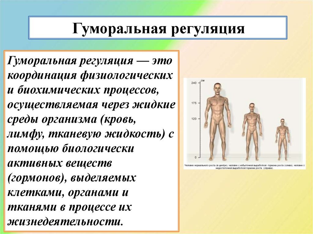 Воздействие массажа