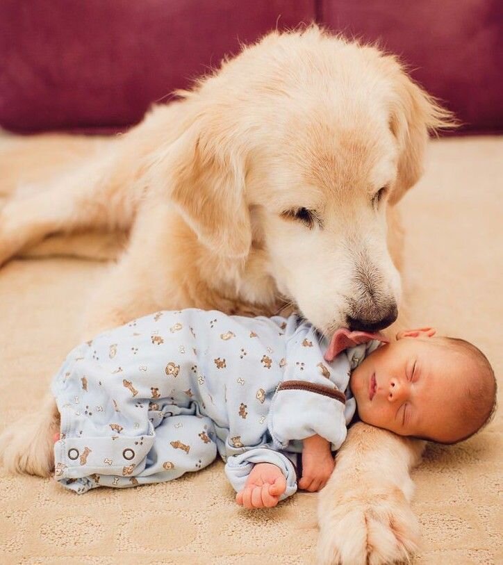 Фото из общедоступных источников