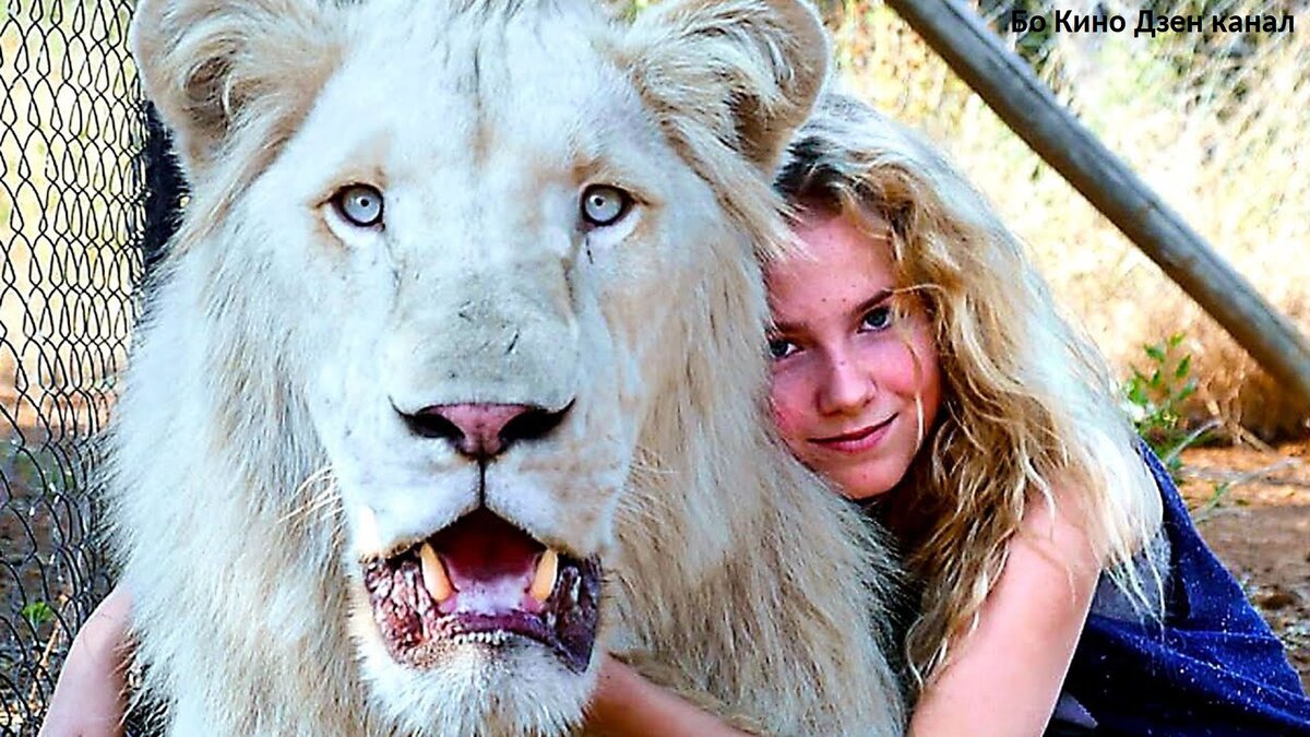 Совсем не домашний зверь в доме