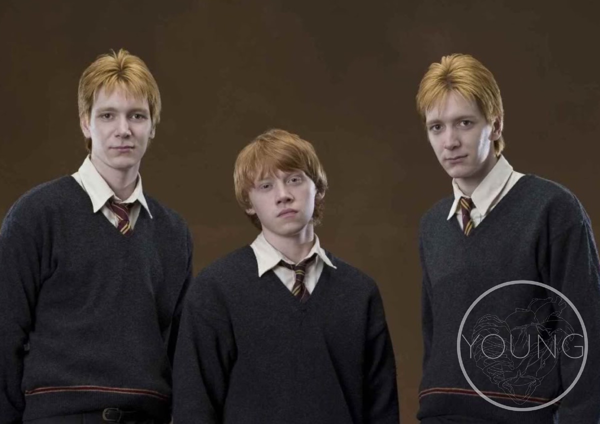Близнецы уизли и рон. Близнецы уизли и рон. Близнецы уизли и рон. Братья близнецы уизли. Джордж уизли орден феникса.