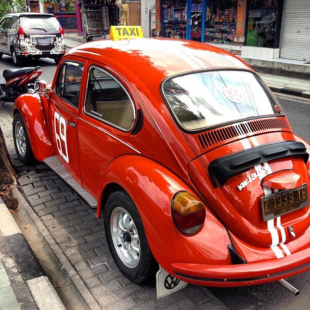 Все фото взяты из открытых источников