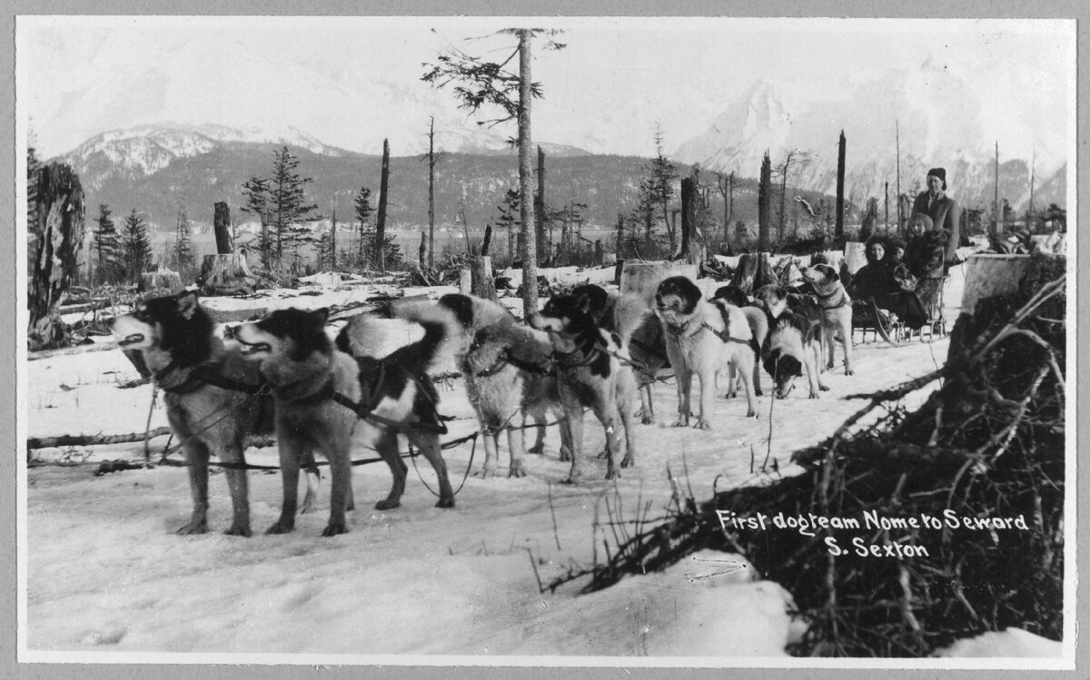 Взято из свободного доступа