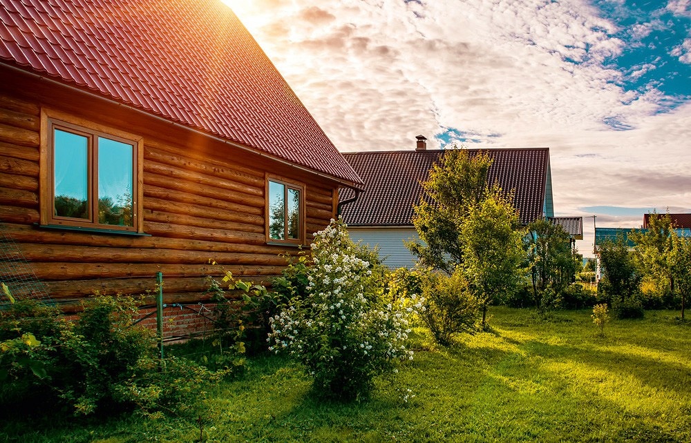 Фото взто с сайта w.w.w.ivd.ru