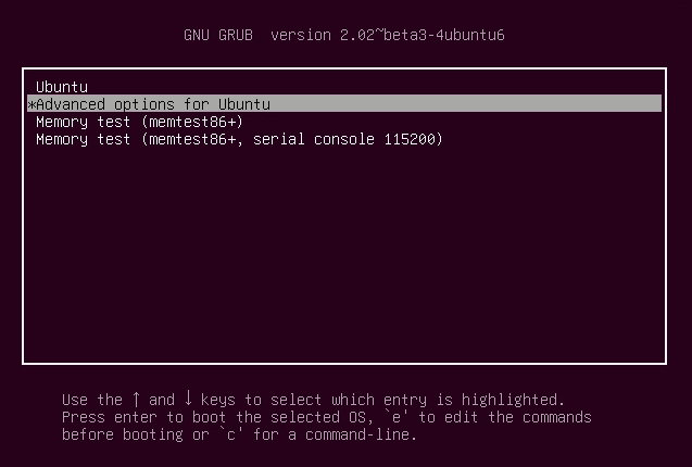  Advanced Options for Ubuntu 
