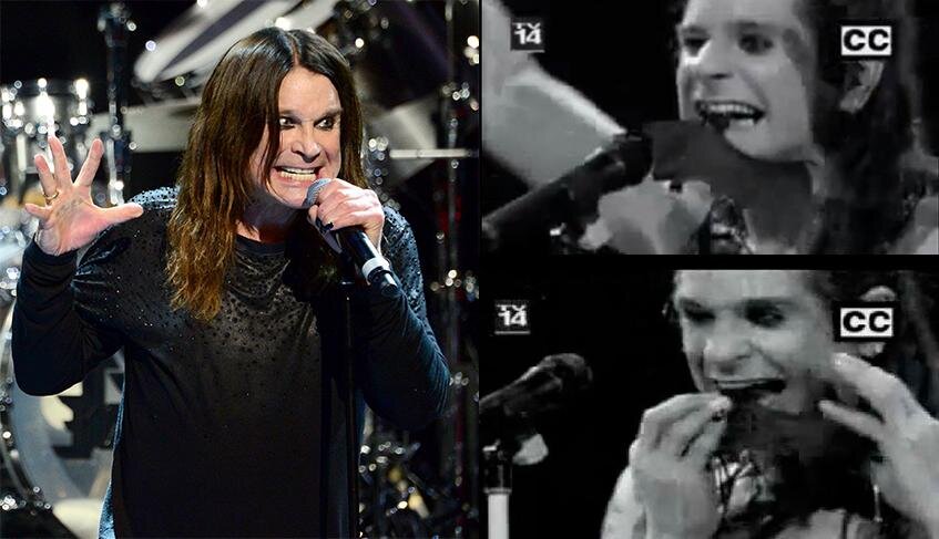 Во время тура в 1981 году ОЗЗИ развлекался тем, что бросал сырое мясо в толпу. Публика решила нанести ответный удар – на сцену бросили полуживую летучую мышь. Оззи принял ее за игрушечную и попытался откусить ей голову. Мышь, очнувшись, укусила Оззи, и его прямо со сцены повезли в больницу, чтобы сделать необходимые прививки. По дороге к врачам и в самой больнице ОЗЗИ лаял, демонстрируя, что укус летучей мыши вызвал у него собачье бешенство.