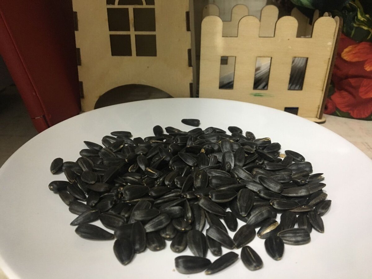 Я  часто сам жарил семечки дома.