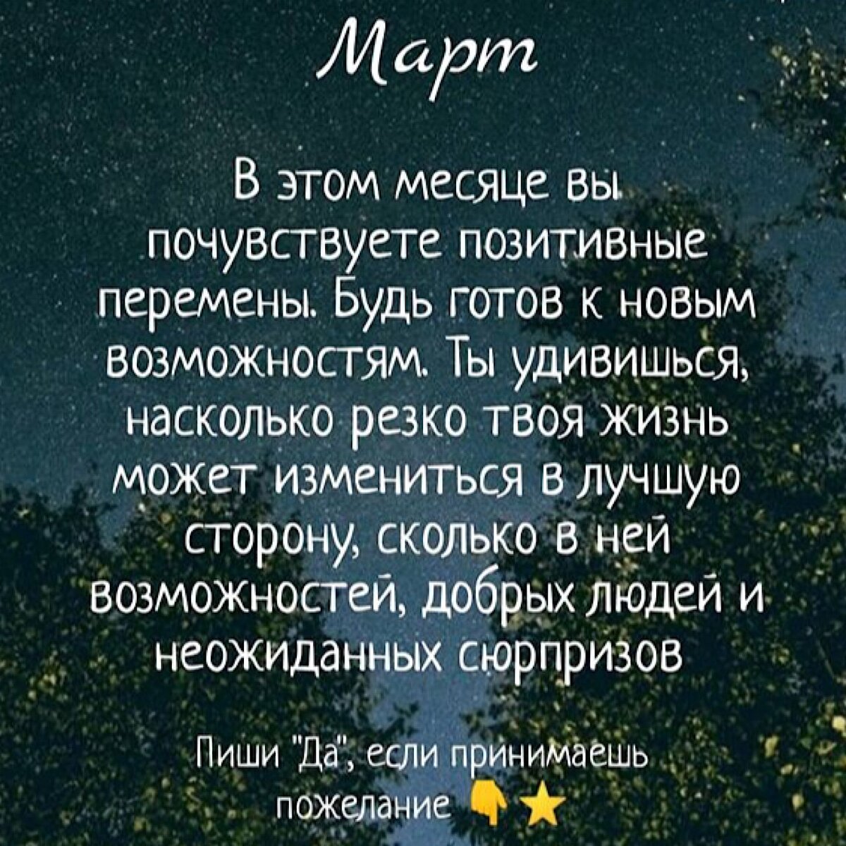 Какой Вас видят другие женщины? Гадание онлайн | ТАРО 🔮 ГАДАНИЕ | Дзен