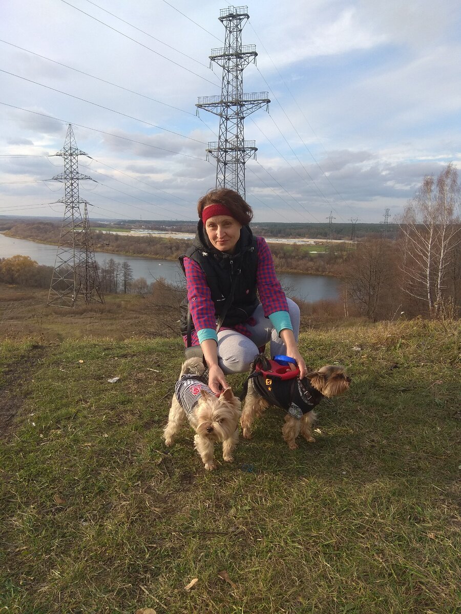 К сожалению, фото идеального хозяина йорка найти не удалось....