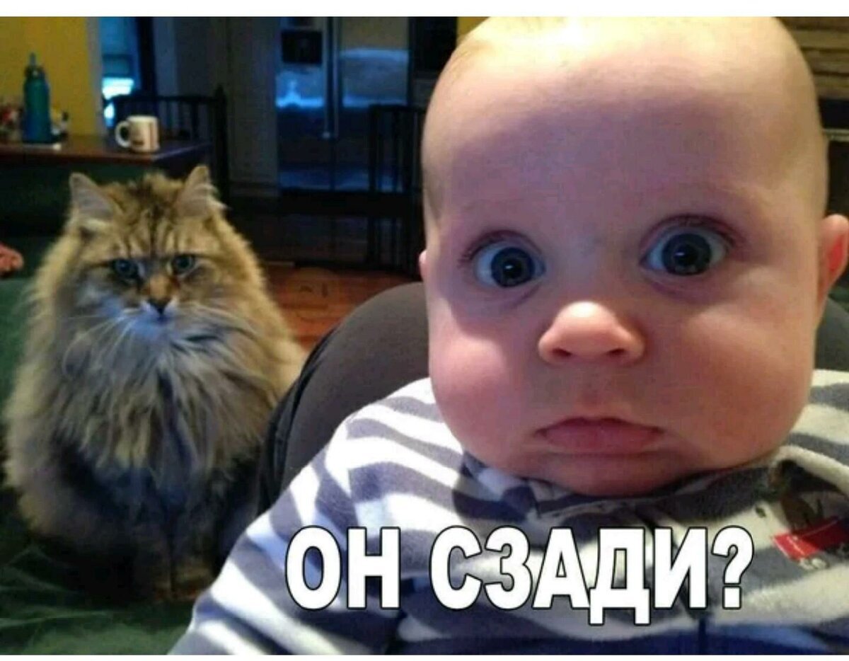 из интернета для ознакомления