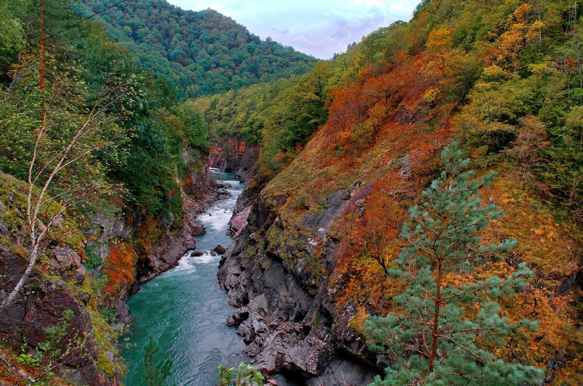 Река Белая