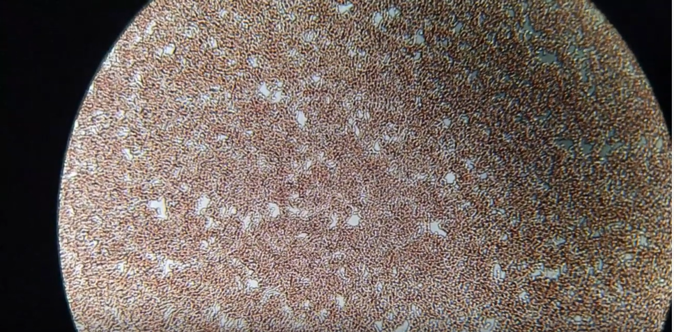 Кадр из видео канала Виталия Варгаева