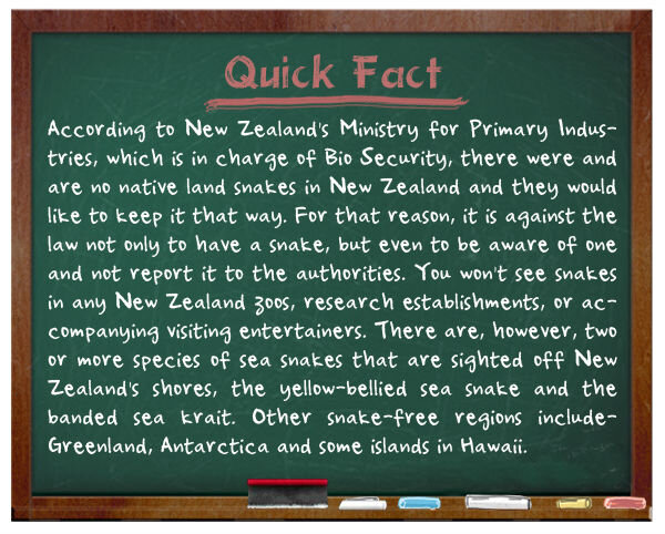 В Новой Зеландии змей нет в дикой природе, а также их категорически запрещено держать и разводить.