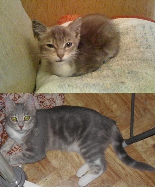 Фотография из свободного источника.