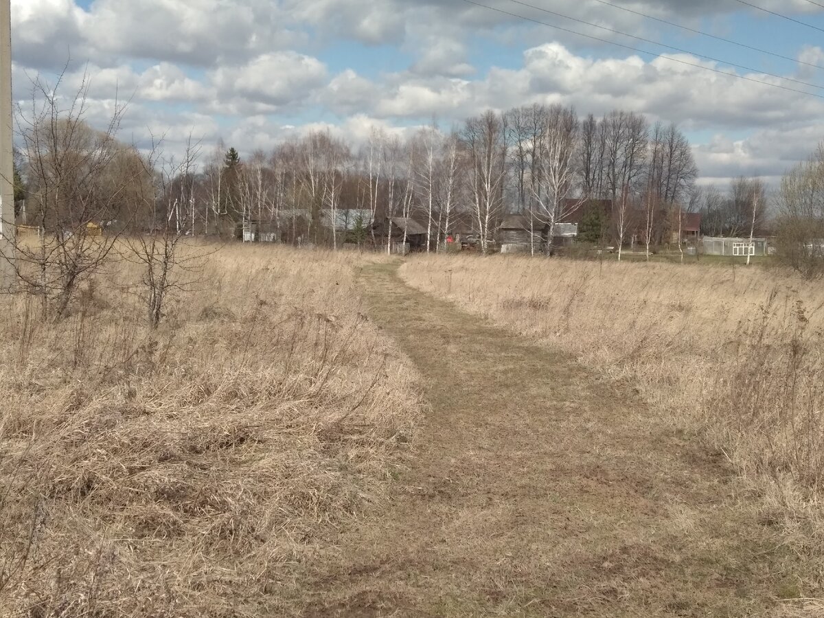 На поле только коровы гуляют, никаких вирусов.