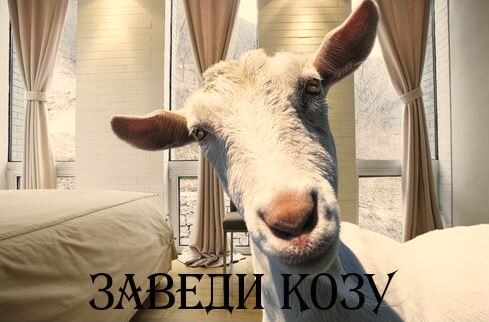 Фото взято для иллюстрации в сети Интернет