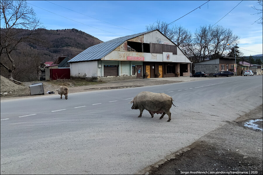 Суровая продорожная экзотика в Южной Осетии (без слёз не взглянуть)