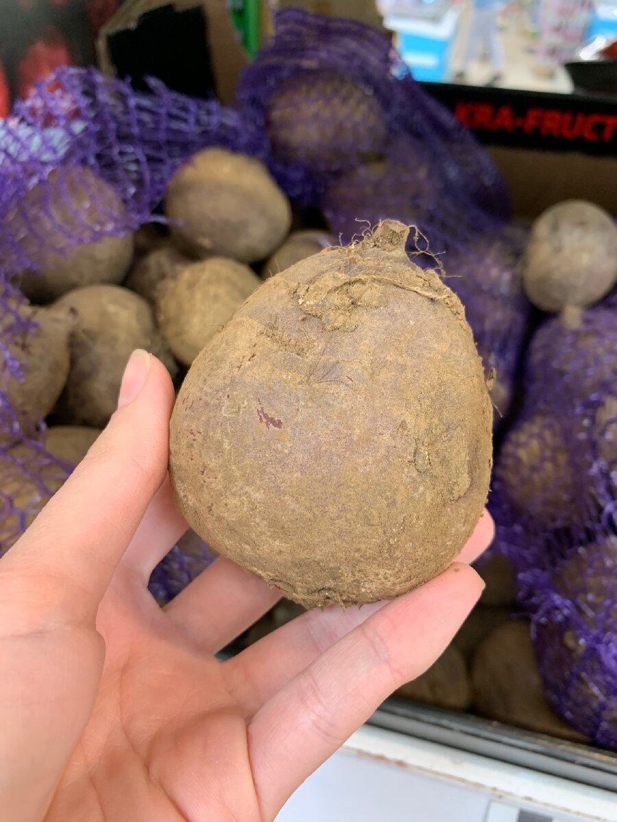 Этот овощ есть у каждого в огороде