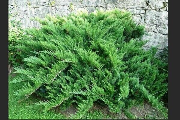 Красота да и только!