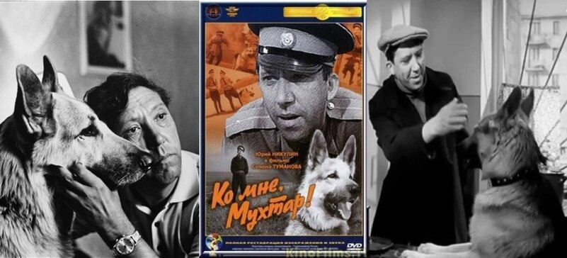 Источник Яндекс фото.