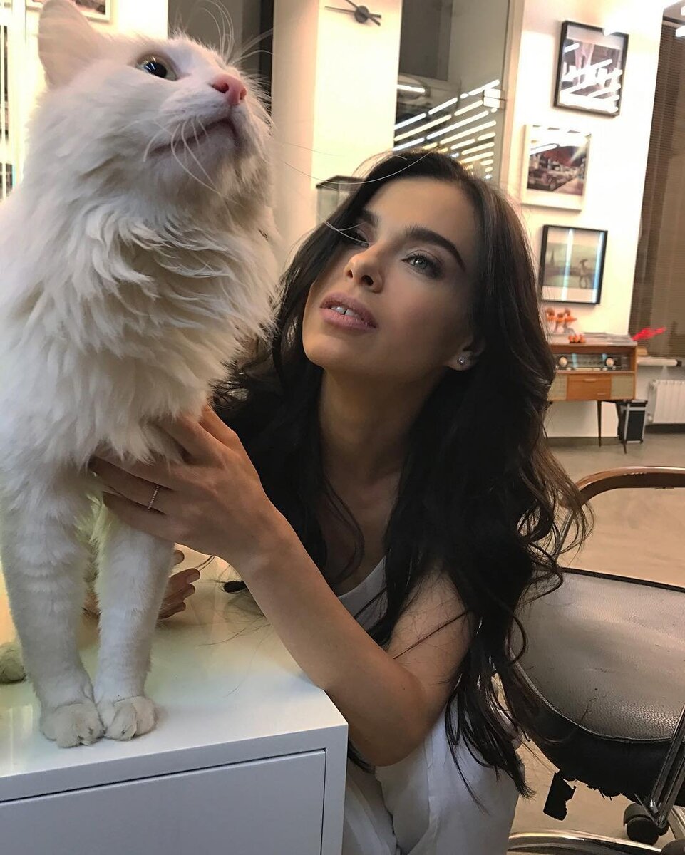 Яндекс. Картинки