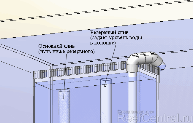 Перелив Херби. Источник: https://reefcentral.ru/articles/231/15421/