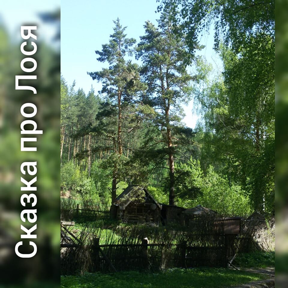 фото автора, Белокуриха, Алтай