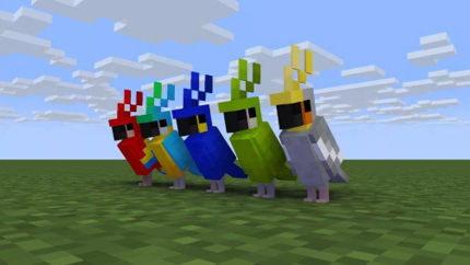 Типы попугаев в Майнкрафт