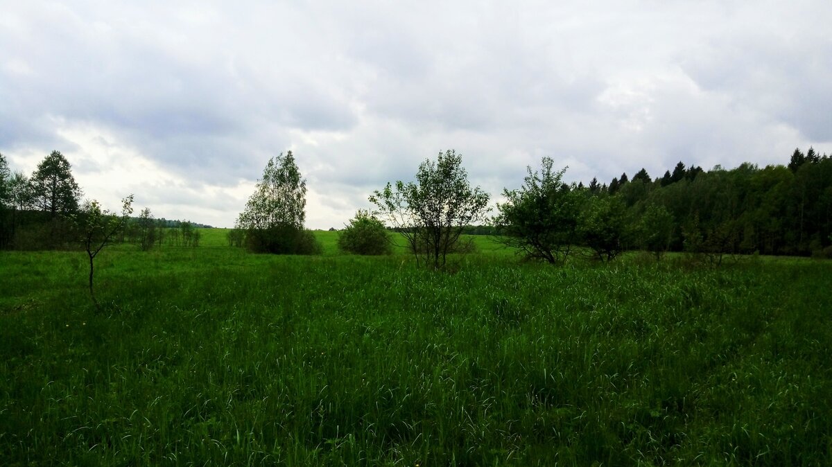 По дороге к водопаду