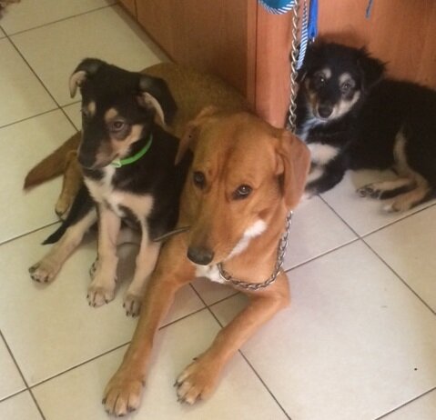 Мы подружились.