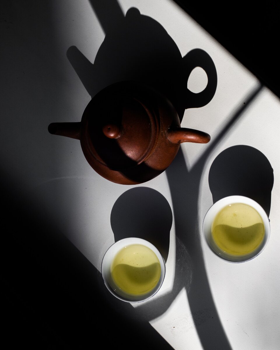 решетка на окне дала эффект стебля цветка @lera_pti_photo