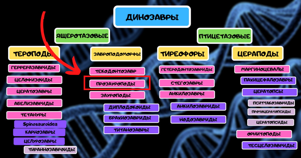 Классификация динозавров