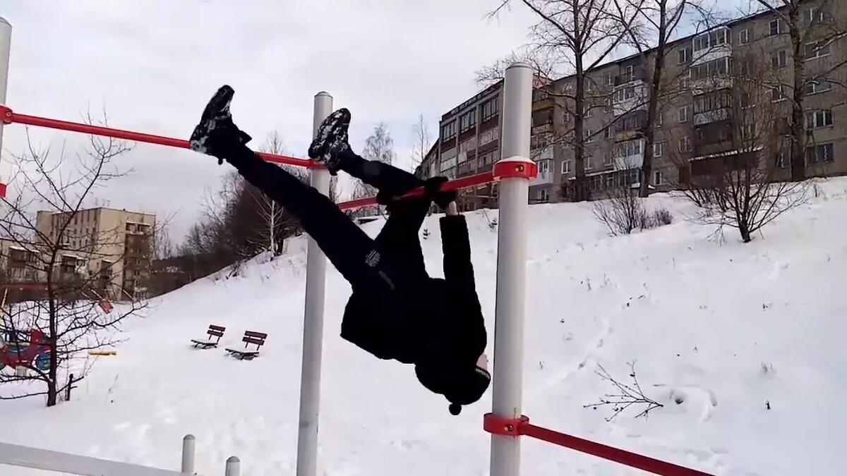 Попугайчик