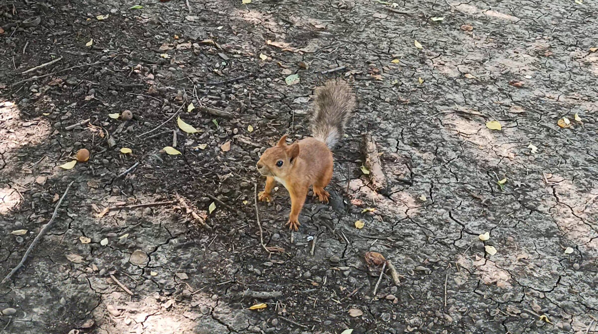 Здрасссьте!