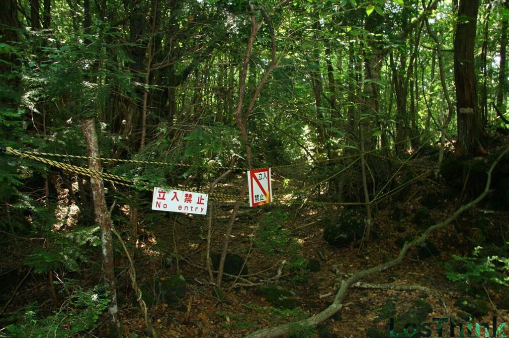 Where is the perfect place death?