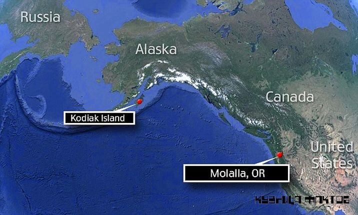 Аляска Россия. Аляска граница с Россией. Граница России и Аляски на карте. Расстояние между россией и аляской