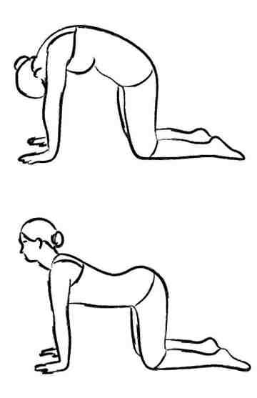 ПОЗА " КОШКА-КОРОВА "