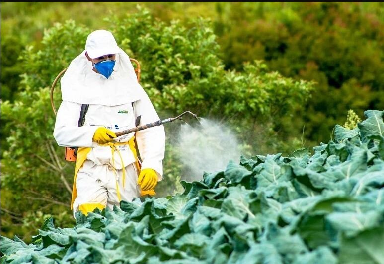 Фото с сайта euractiv.com