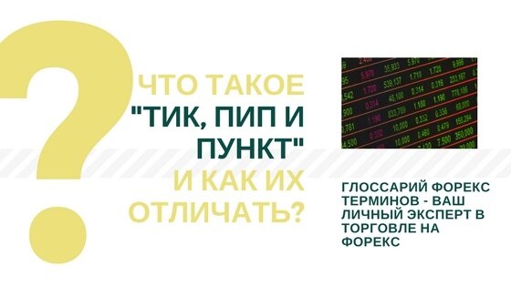 Пукнт, пип и тик: что такое и чем отличается