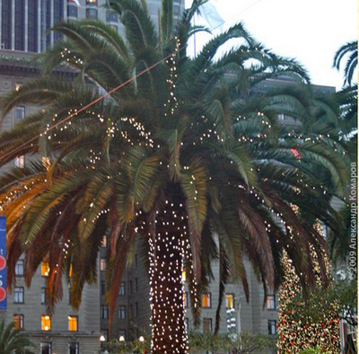 Мексика Новогодняя пальма