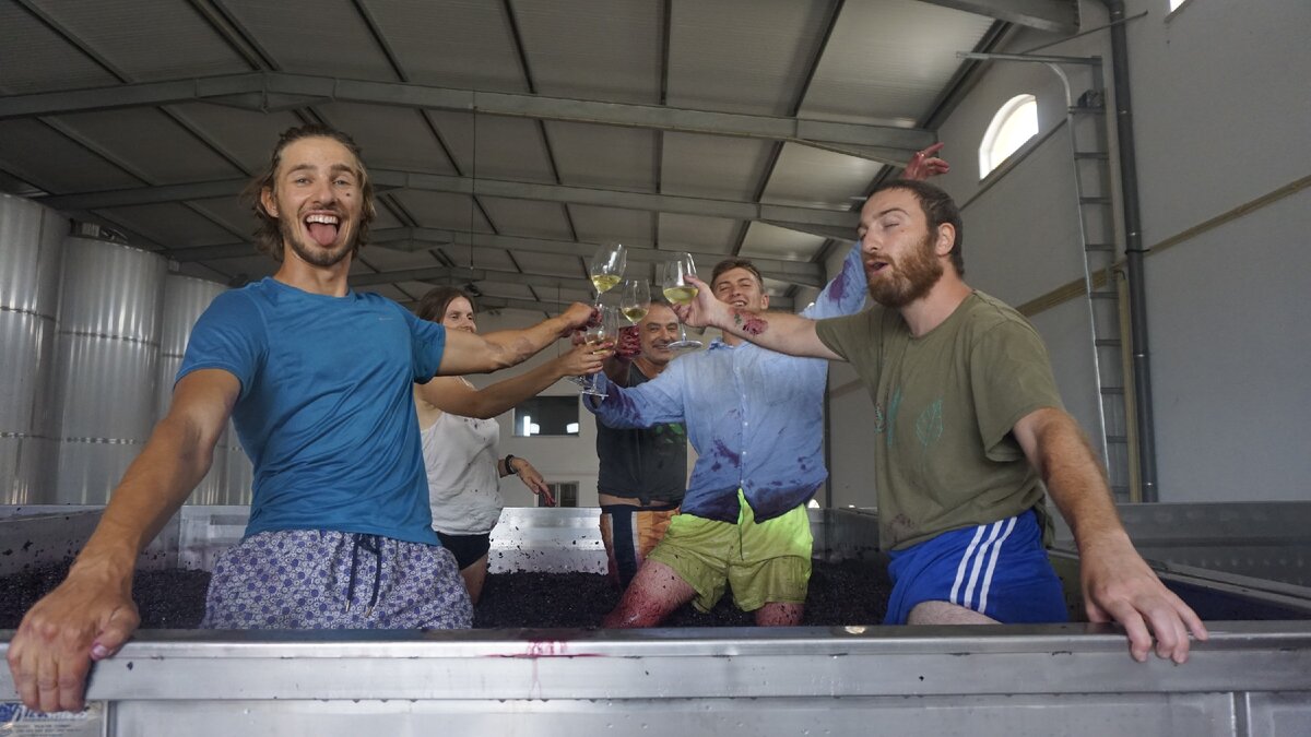 Истинное веселье.