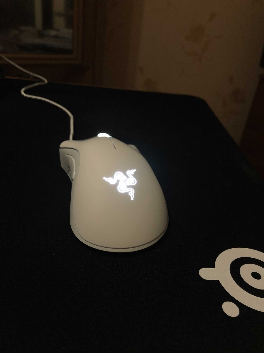 Razer DeathAdder 6400 dpi (Та самая моя мышь)