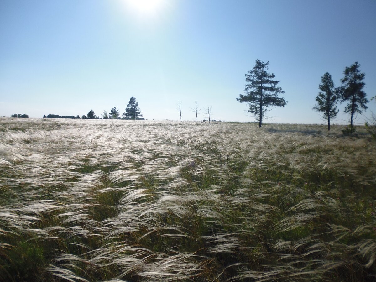 Доброго здравия, читатель!