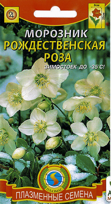 Фото взято из свободных источников