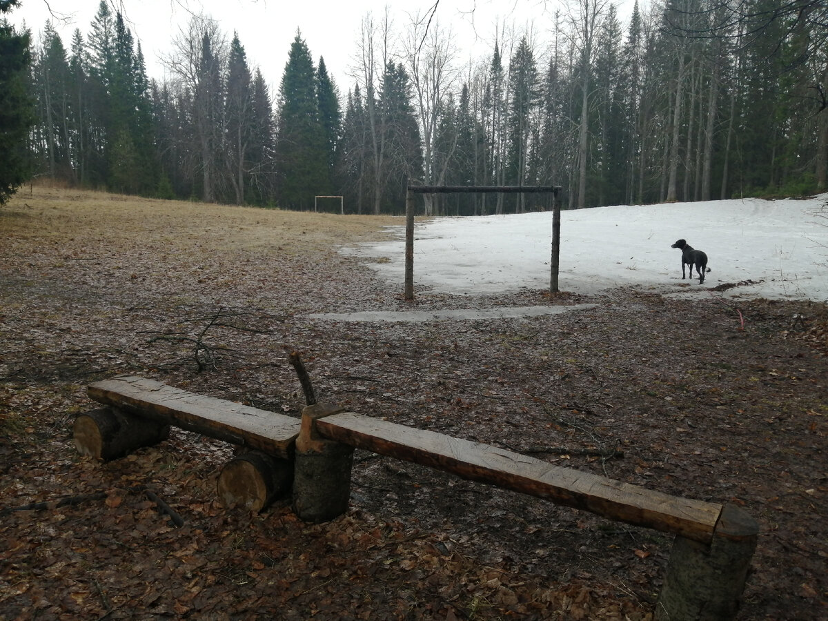 Футбольное поле