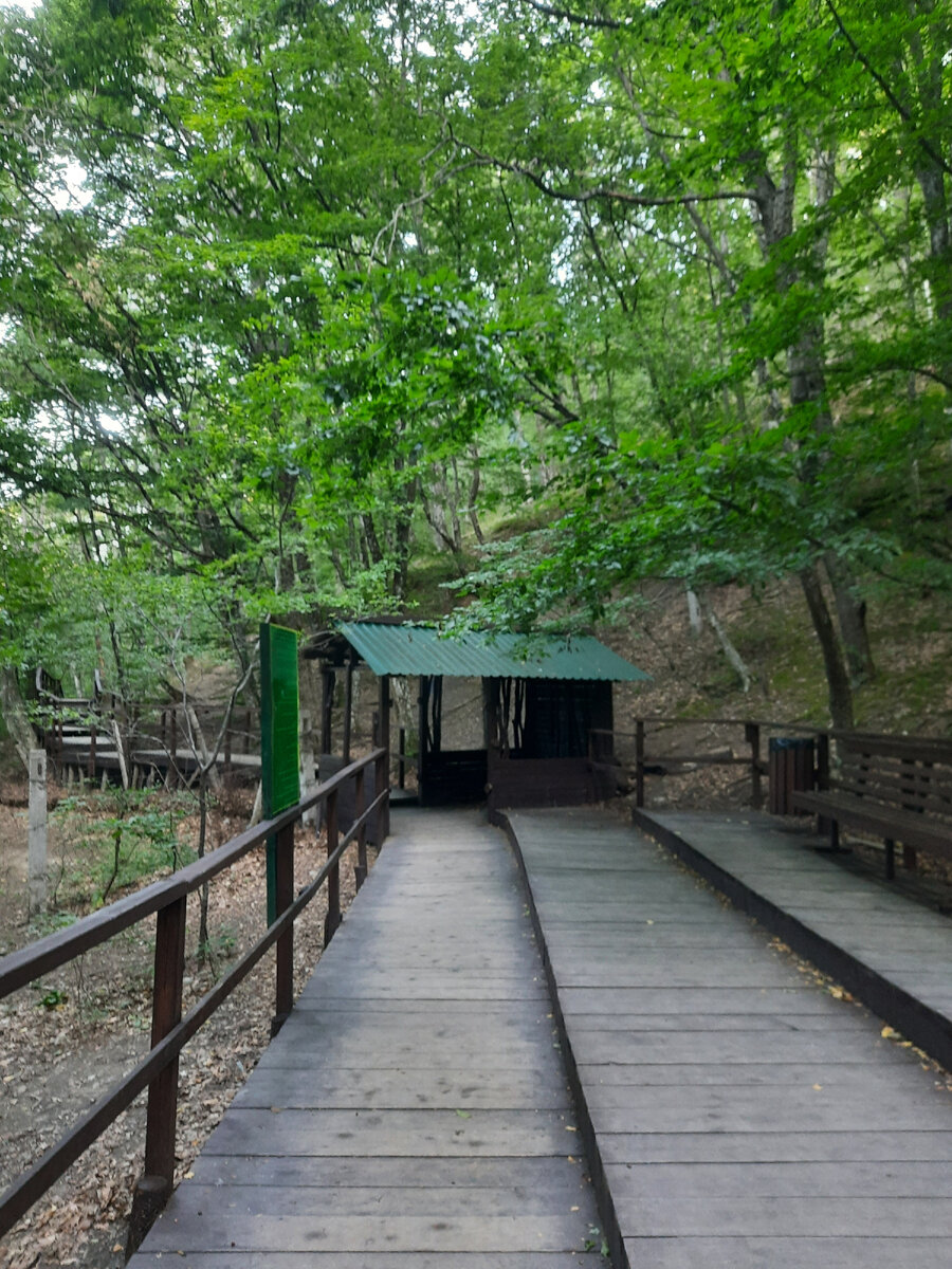 Дорога назад. Фото автора